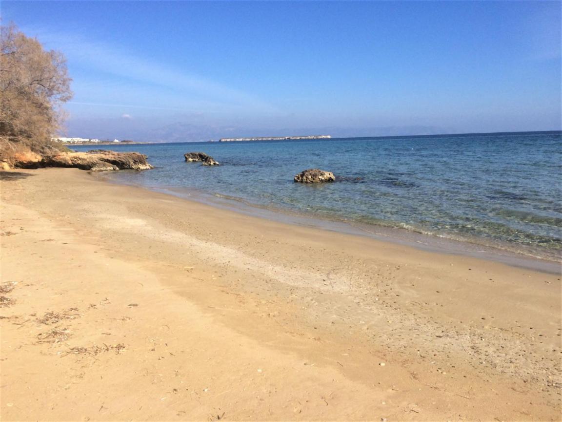Tonia Apartments Paros 克里希阿克提 外观 照片